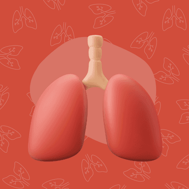 Anatomía (Cát. 1) | Medicina | UBA