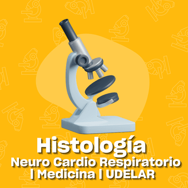 Histología Neuro Cardio Respiratorio | Medicina | UDELAR